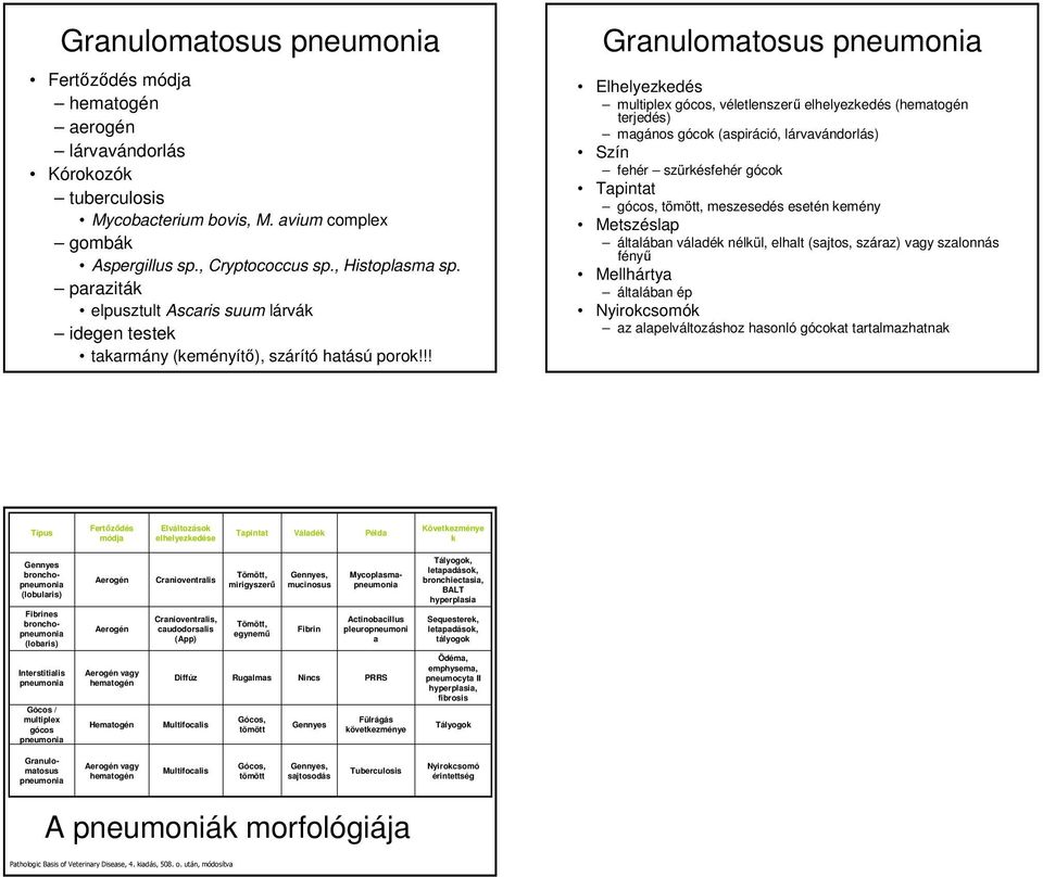 !! Granulomatosus multiplex gócos, véletlenszerő elhelyezkedés (hematogén terjedés) magános gócok (aspiráció, lárvavándorlás) fehér szürkésfehér gócok gócos, tömött, meszesedés esetén kemény