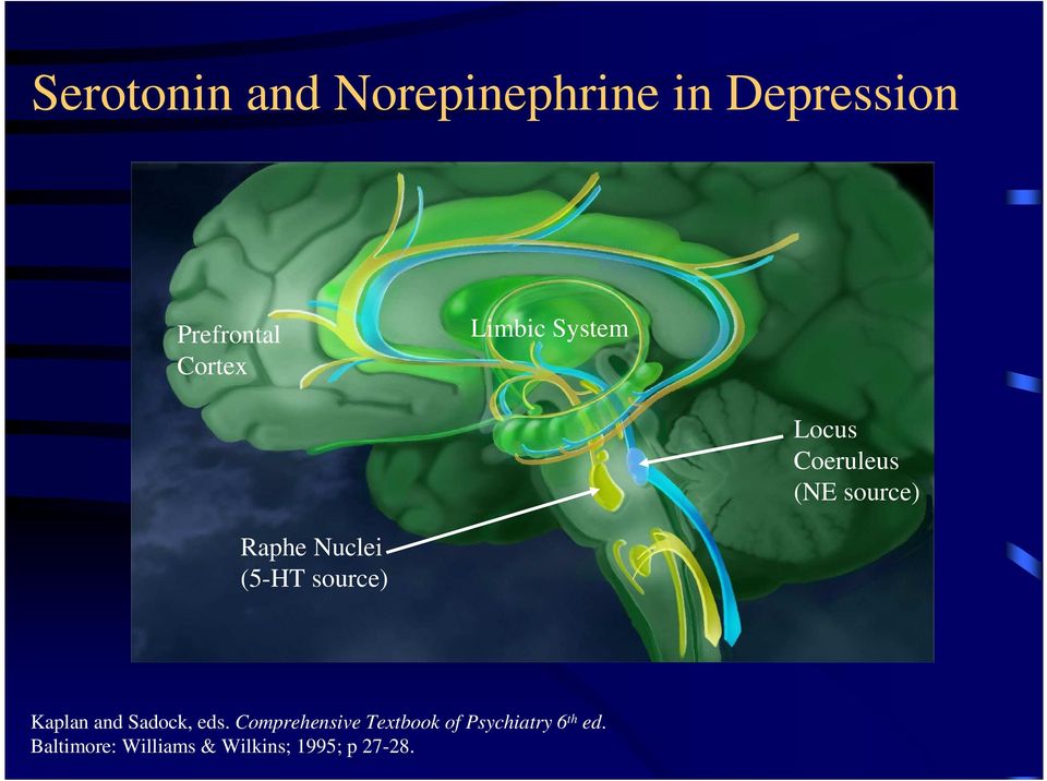 source) Kaplan and Sadock, eds.