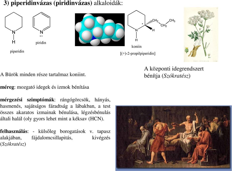 hányás, hasmenés, sajátságos fáradtság a lábakban, a test összes akaratos izmainak bénulása, légzésbénulás általi halál (oly