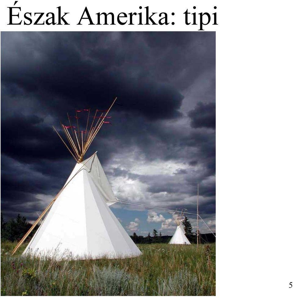 tipi 5