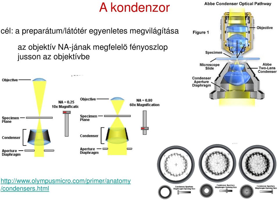 megfelelő fényoszlop jusson az objektívbe