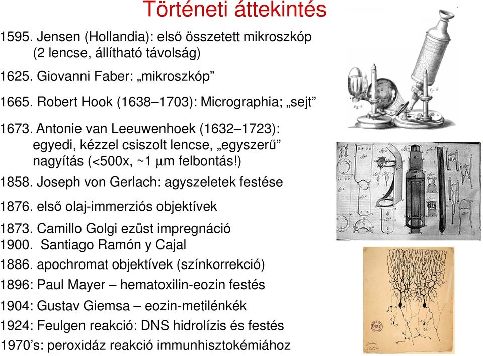 Joseph von Gerlach: agyszeletek festése 1876. első olaj-immerziós objektívek 1873. Camillo Golgi ezüst impregnáció 1900. Santiago Ramón y Cajal 1886.