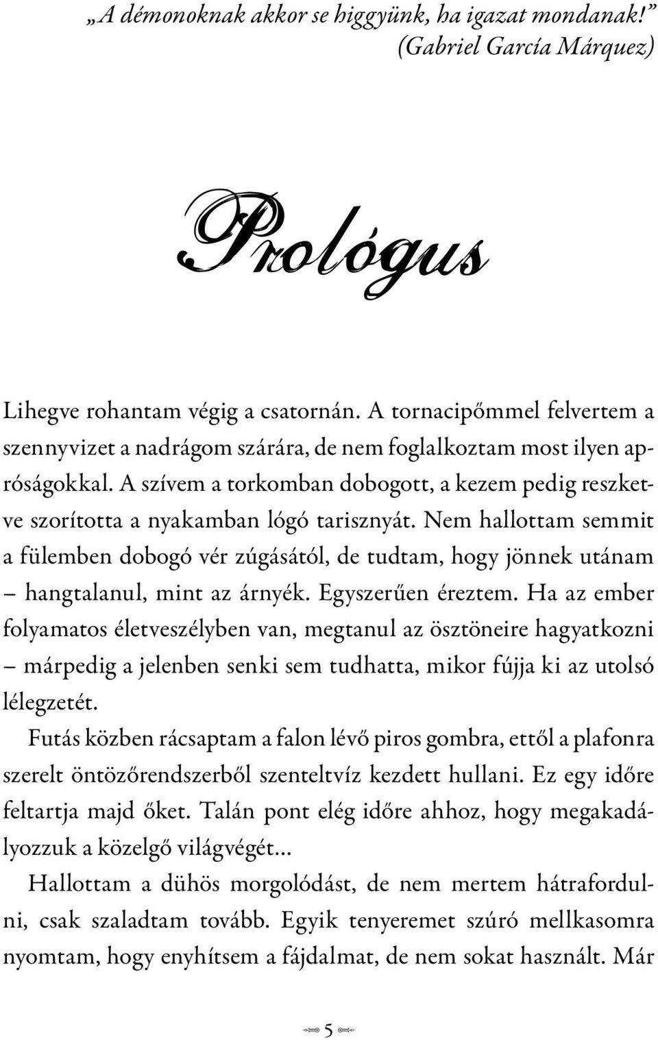 Nem hallottam semmit a fülemben dobogó vér zúgásától, de tudtam, hogy jönnek utánam hangtalanul, mint az árnyék. Egyszerűen éreztem.