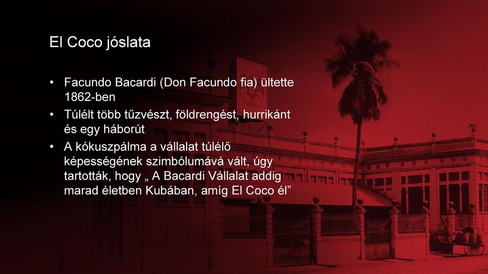 kókuszpálma a vállalat túlélő képességének szimbólumává vált, úgy