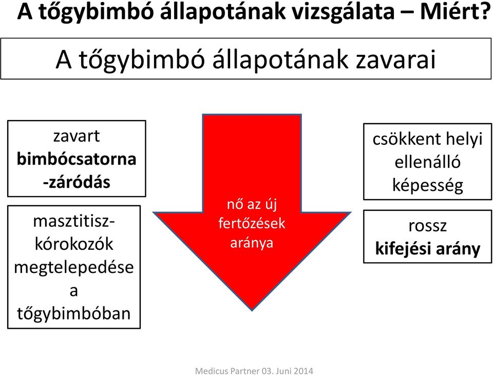 -záródás masztitiszkórokozók megtelepedése a tőgybimbóban