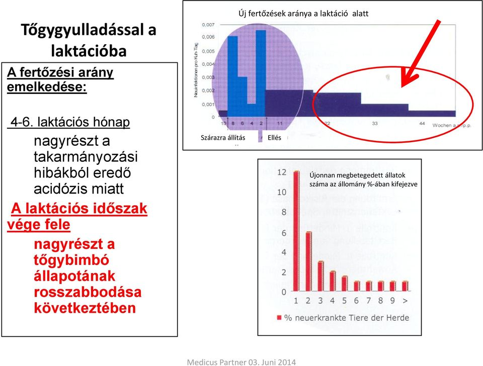 laktációs hónap nagyrészt a takarmányozási hibákból eredő acidózis miatt A laktációs