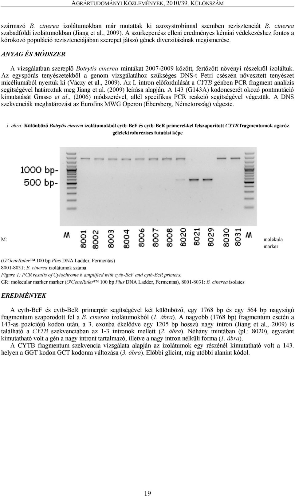 ANYAG ÉS MÓDSZER A vizsgálatban szereplő Botrytis cinerea mintákat 2007-2009 között, fertőzött növényi részekről izoláltuk.