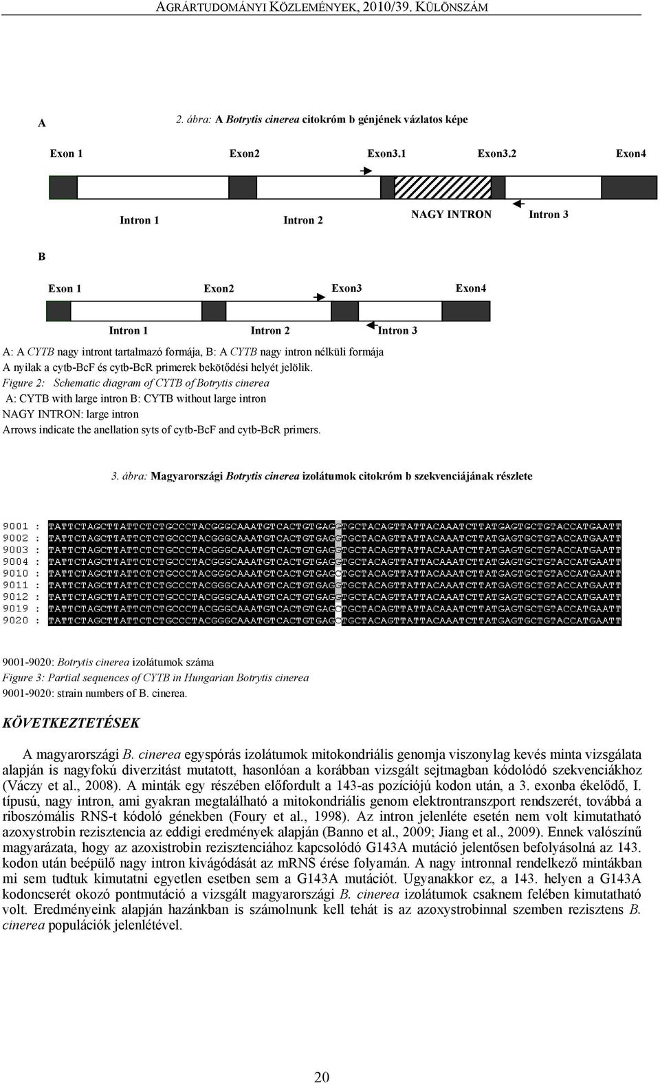 cytb-bcr primerek bekötődési helyét jelölik.