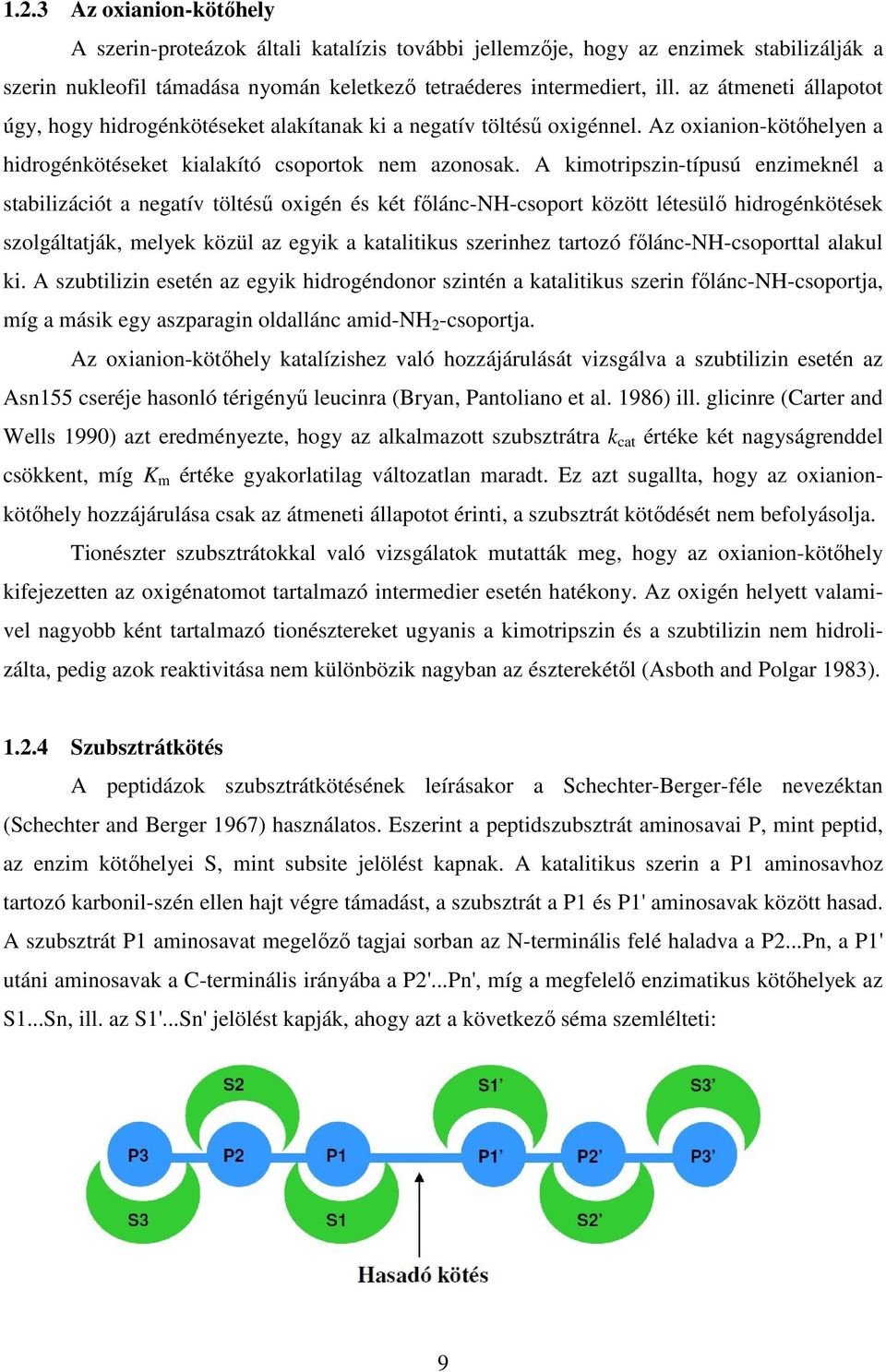 A kimotripszin-típusú enzimeknél a stabilizációt a negatív töltésű oxigén és két főlánc-nh-csoport között létesülő hidrogénkötések szolgáltatják, melyek közül az egyik a katalitikus szerinhez tartozó
