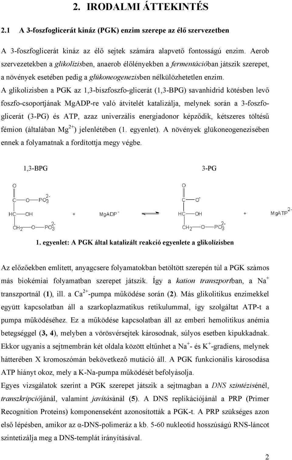 A glikolízisben a PGK az 1,3-biszfoszfo-glicerát (1,3-BPG) savanhidrid kötésben levő foszfo-csoportjának MgADP-re való átvitelét katalizálja, melynek során a 3-foszfoglicerát (3-PG) és ATP, azaz