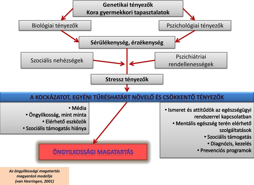 Szociális nehézségek Pszichiátriai rendellenességek Stressz