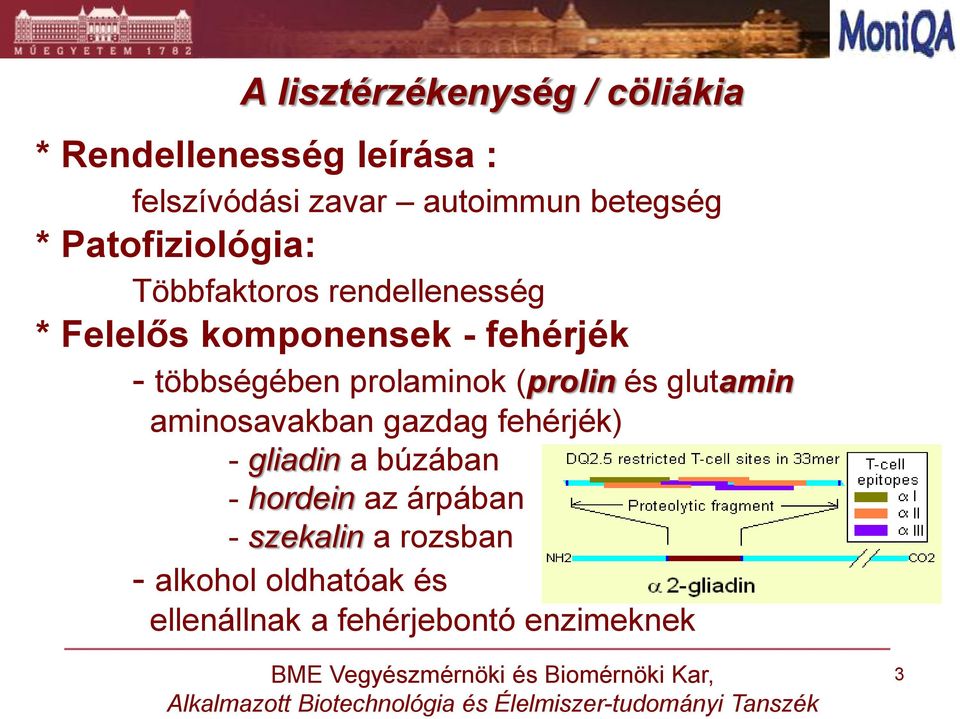 többségében prolaminok (prolin és glutamin aminosavakban gazdag fehérjék) - gliadin a búzában