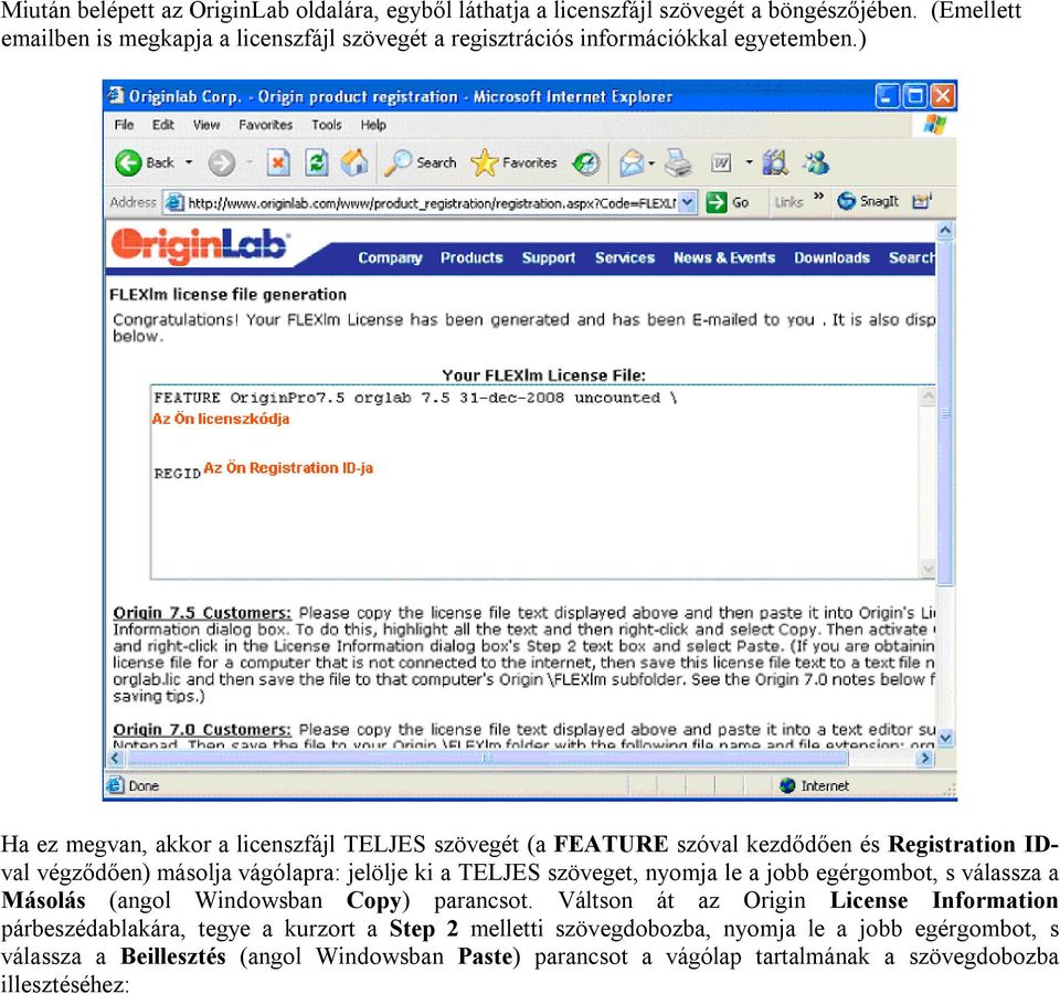 ) Ha ez megvan, akkor a licenszfájl TELJES szövegét (a FEATURE szóval kezdődően és Registration IDval végződően) másolja vágólapra: jelölje ki a TELJES szöveget, nyomja le