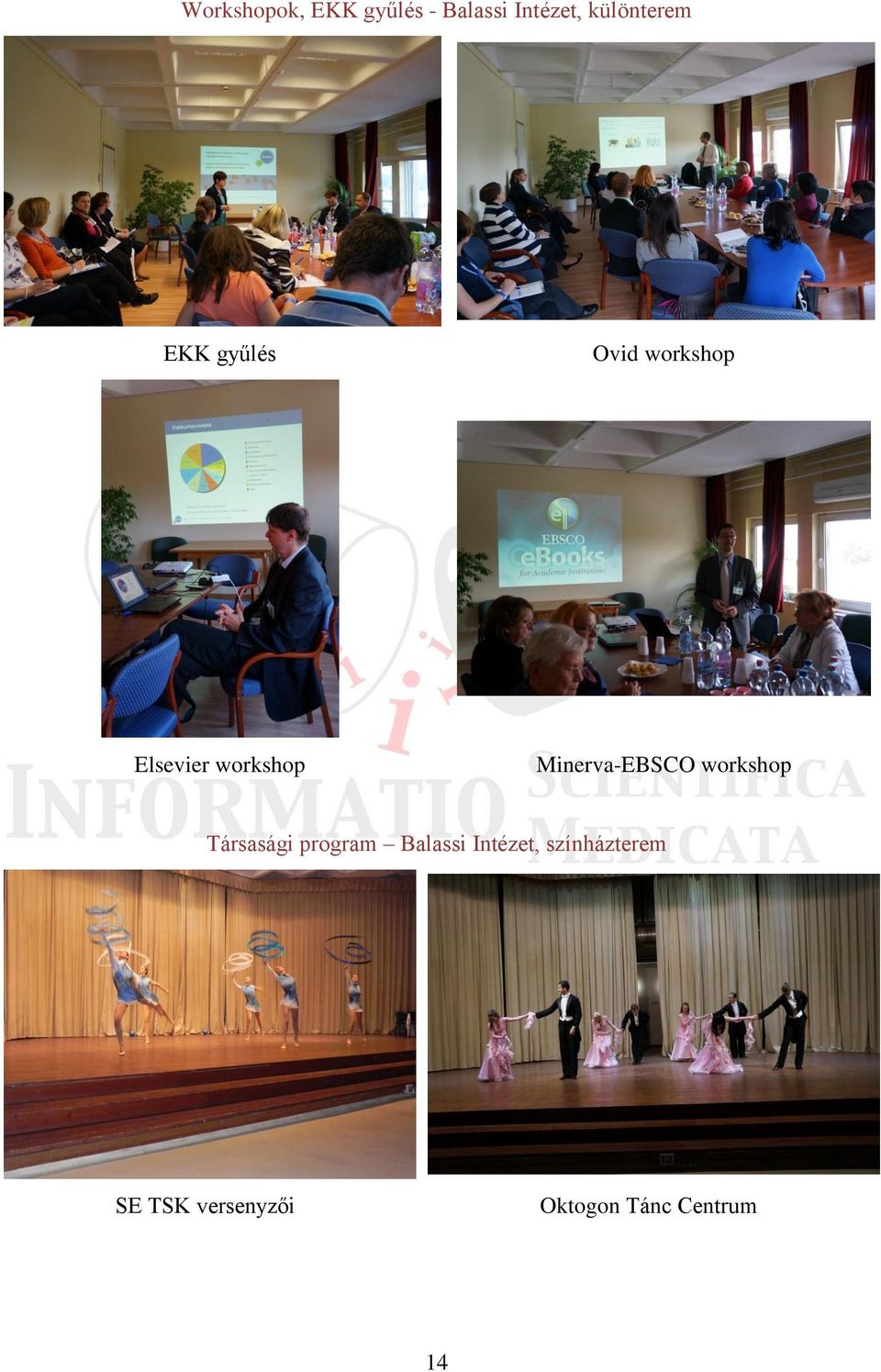 workshop Minerva-EBSCO workshop Társasági program