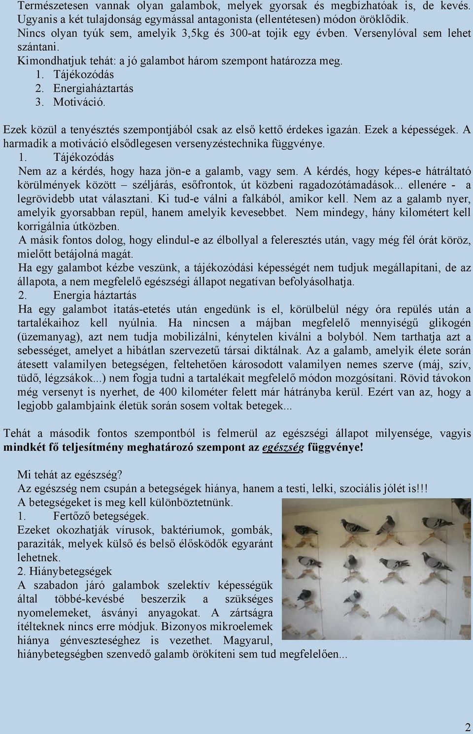 Motiváció. Ezek közül a tenyésztés szempontjából csak az első kettő érdekes igazán. Ezek a képességek. A harmadik a motiváció elsődlegesen versenyzéstechnika függvénye. 1.
