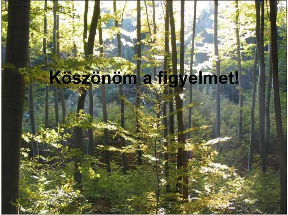 figyelmet!