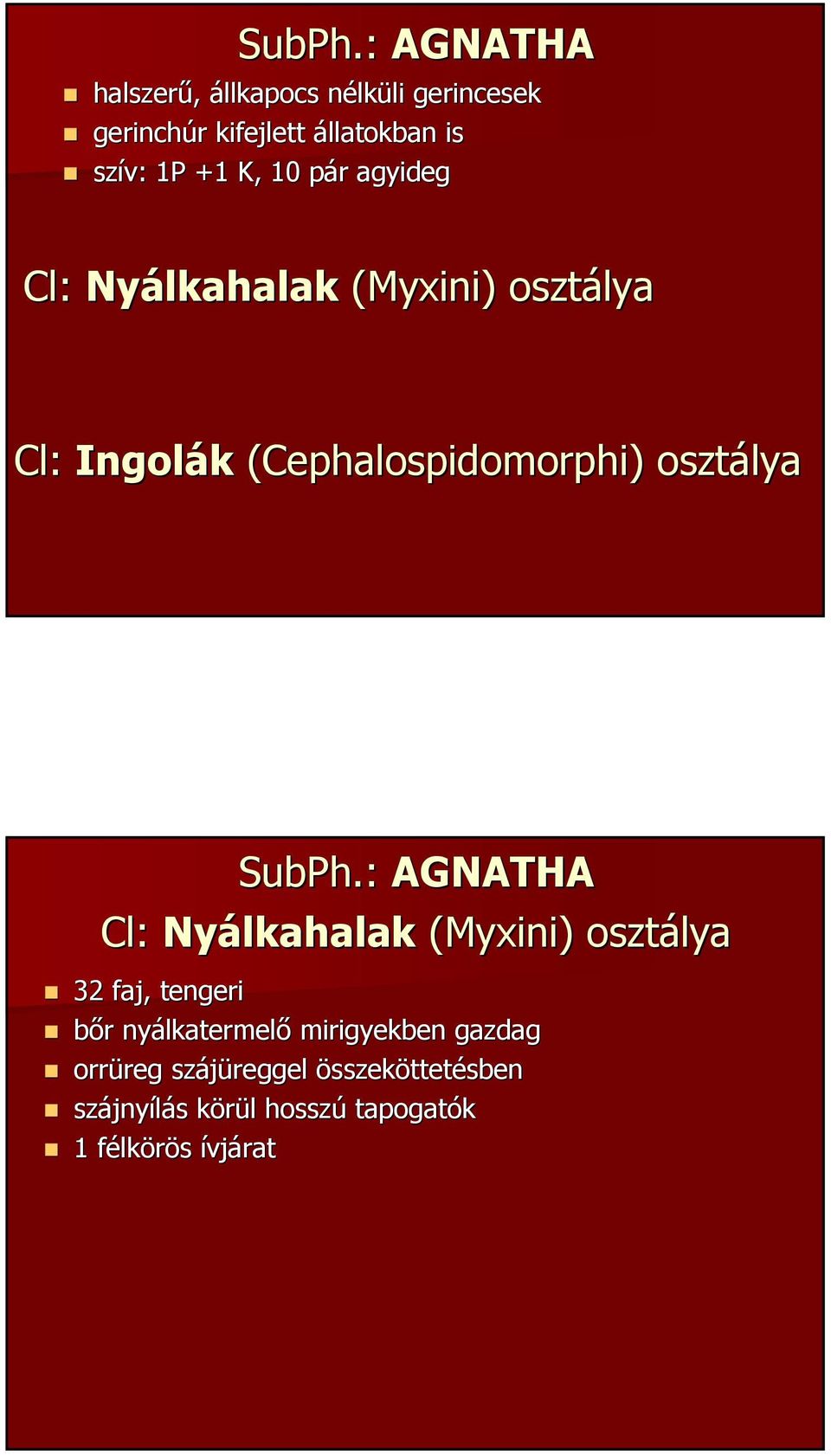 10 pár agyideg Cl: Nyálkahalak (Myxini)) osztálya Cl: Ingolák (Cephalospidomorphi)) osztálya :