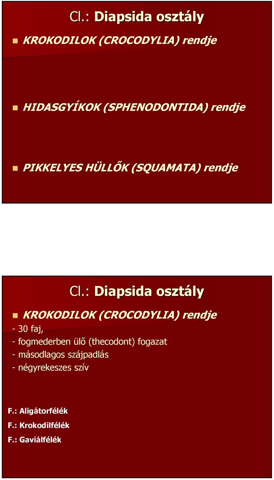 : Diapsida osztály KROKODILOK (CROCODYLIA) rendje - 30 faj, -fogmederben ülő