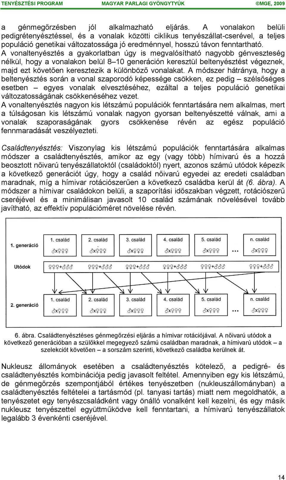 A vonaltenyésztés a gyakorlatban úgy is megvalósítható nagyobb génveszteség nélkül, hogy a vonalakon belül 8 10 generáción keresztül beltenyésztést végeznek, majd ezt követően keresztezik a különböző