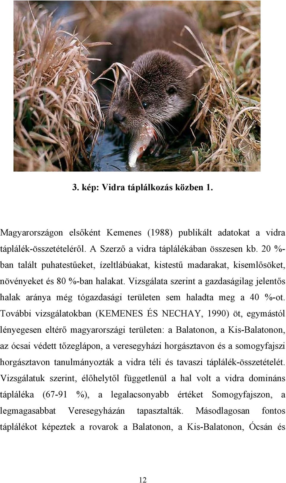 Vizsgálata szerint a gazdaságilag jelentős halak aránya még tógazdasági területen sem haladta meg a 40 %-ot.