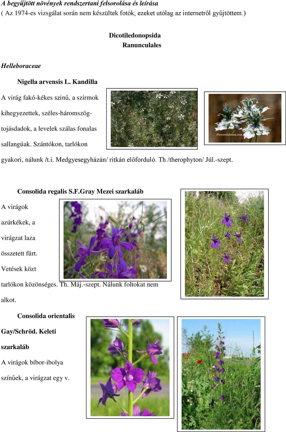 Kandilla A virág fakó-kékes színű, a szirmok kihegyezettek, széles-háromszögtojásdadok, a levelek szálas fonalas sallangúak. Szántókon, tarlókon gyakori, nálunk /t.i. Medgyesegyházán/ ritkán előforduló.