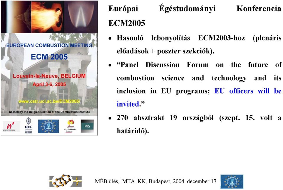 Panel Discussion Forum on the future of combustion science and technology and