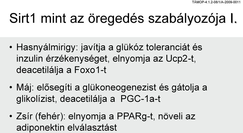 elnyomja az Ucp2-t, deacetilálja a Foxo1-t Máj: elősegíti a