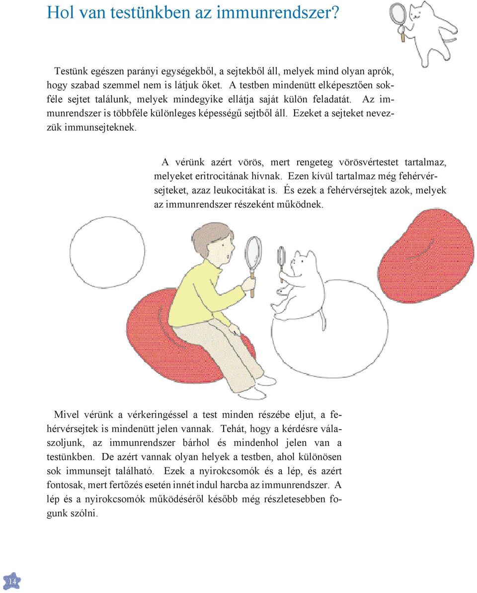 Ezeket a sejteket nevezzük immunsejteknek. A vérünk azért vörös, mert rengeteg vörösvértestet tartalmaz, melyeket eritrocitának hívnak. Ezen kívül tartalmaz még fehérvérsejteket, azaz leukocitákat is.