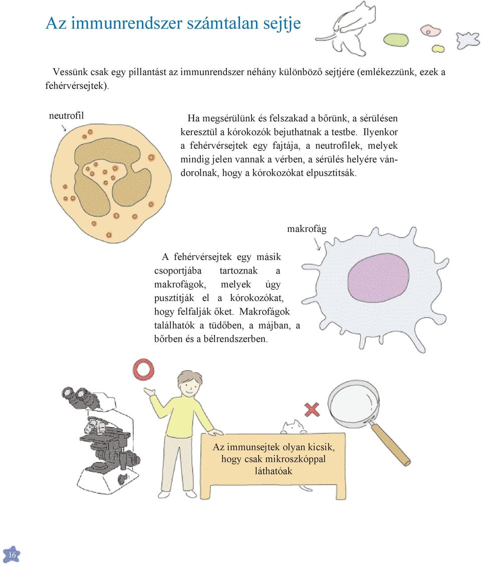 A csodálatos immunrendszer - PDF Free Download