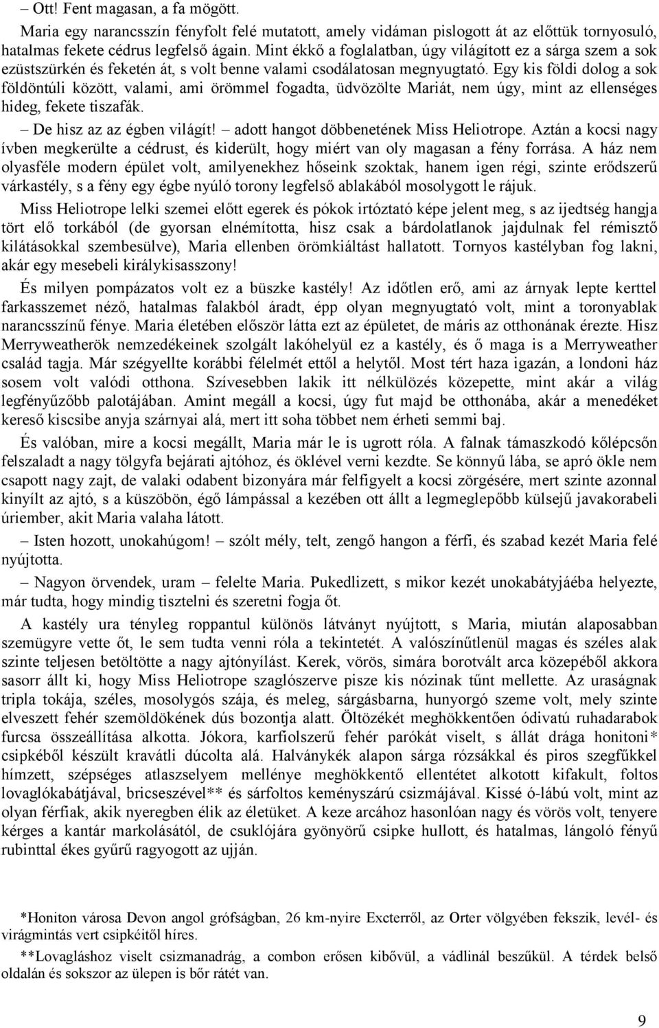 Egy kis földi dolog a sok földöntúli között, valami, ami örömmel fogadta, üdvözölte Mariát, nem úgy, mint az ellenséges hideg, fekete tiszafák. De hisz az az égben világít!