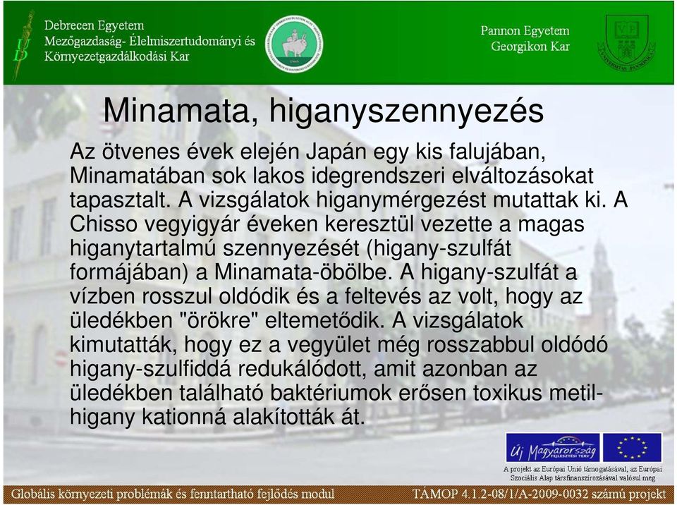 A Chisso vegyigyár éveken keresztül vezette a magas higanytartalmú szennyezését (higany-szulfát formájában) a Minamata-öbölbe.