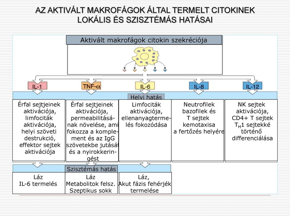 szövetekbe jutását és a nyirokkeringést Szisztémás hatás Szisztémás hatás Láz Metabolitok felsz.