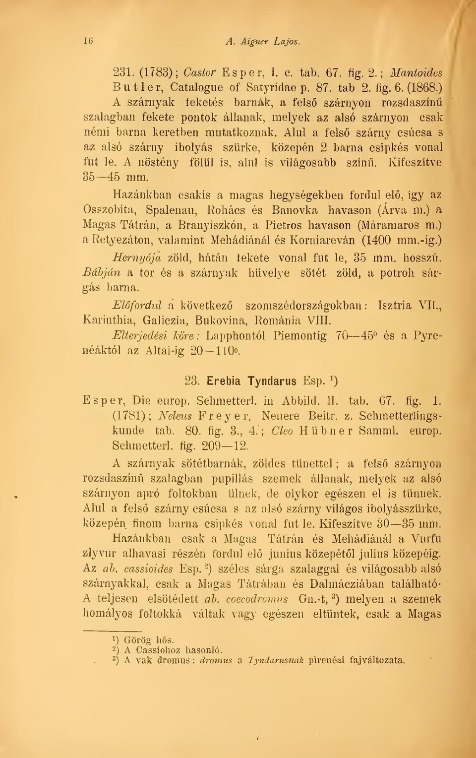 Alul a fels szárny csúcsa s az alsó szárny ibolyás szürke, közepén 2 barna csipkés vonal fut le. A nstény fölül is, alul is világosabb szín. Kifeszítve 35 45 mm.