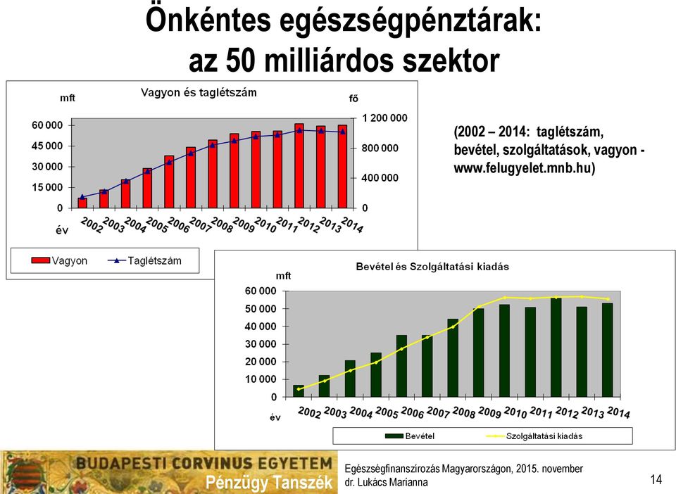 taglétszám, bevétel, szolgáltatások,