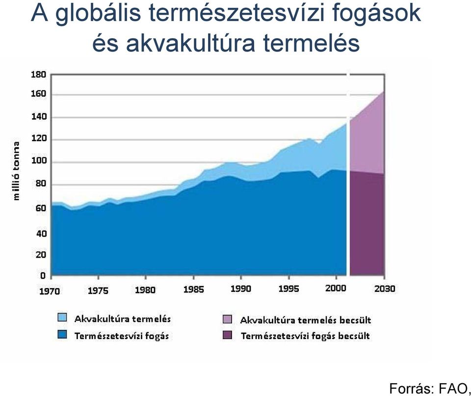 fogások és