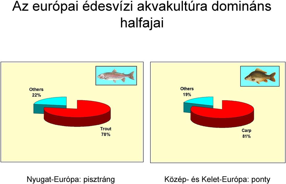 19% Trout 78% Carp 81%