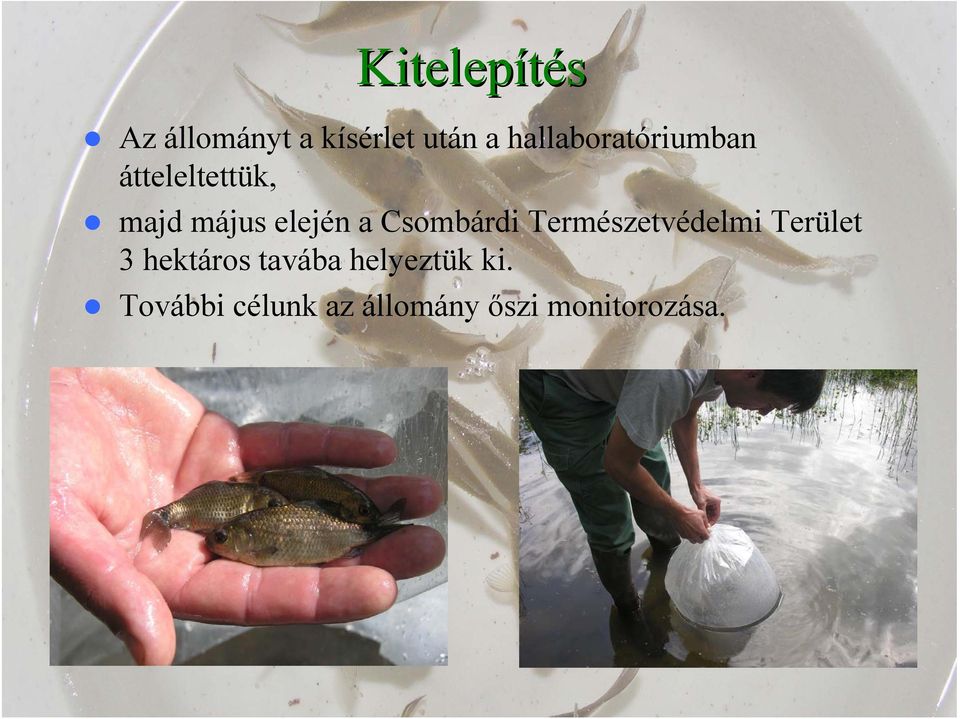 a Csombárdi Természetvédelmi Terület 3 hektáros