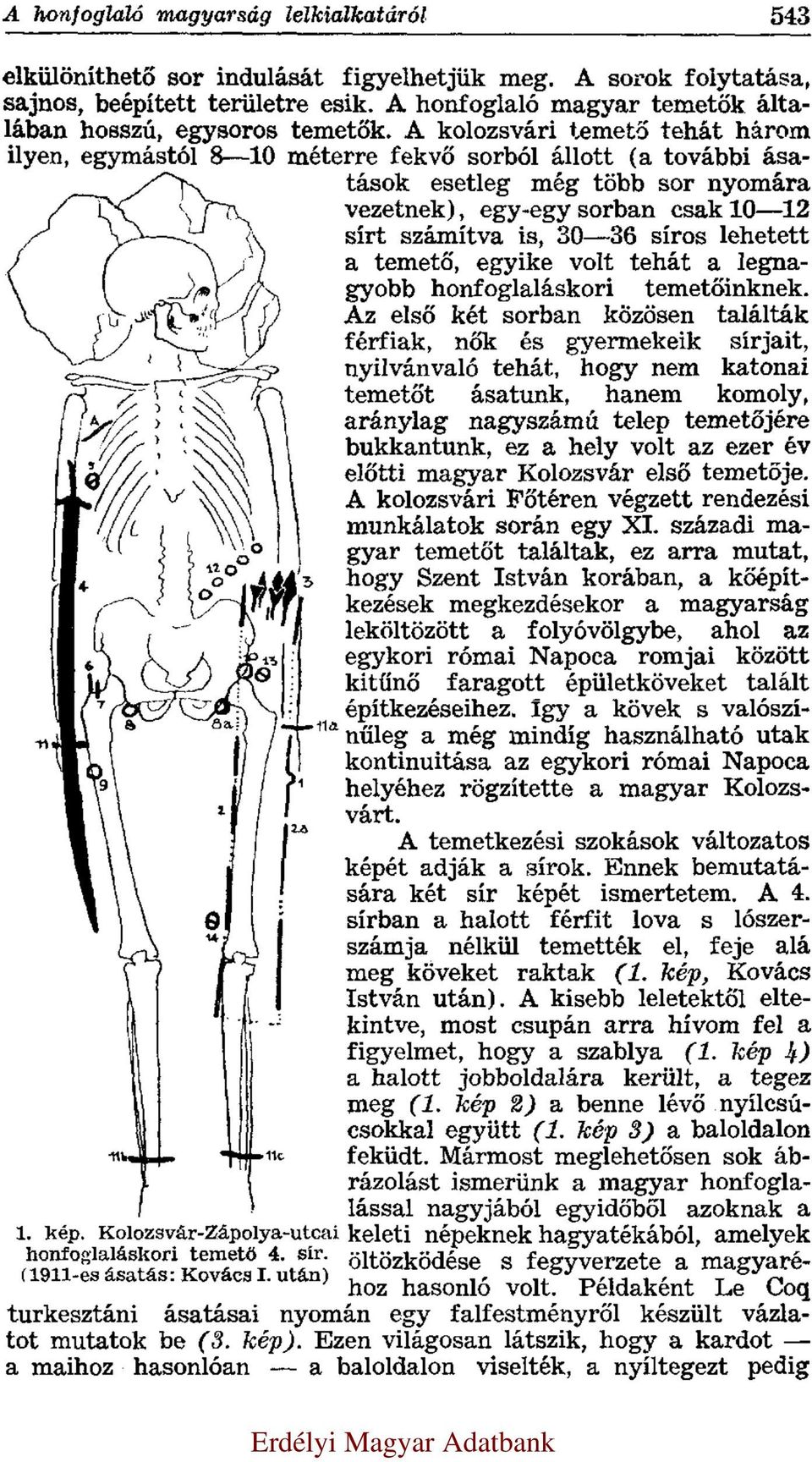 A kolozsvári temető tehát három ilyen, egymástól 8 10 méterre fekvő sorból állott (a további ásatások esetleg még több sor nyomára vezetnek), egy-egy sorban csak 10 12 sírt számítva is, 30 36 síros