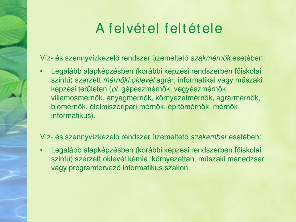 gépészmérnök, vegyészmérnök, villamosmérnök, anyagmérnök, környezetmérnök, agrármérnök, biomérnök, élelmiszeripari mérnök, építőmérnök, mérnök informatikus).