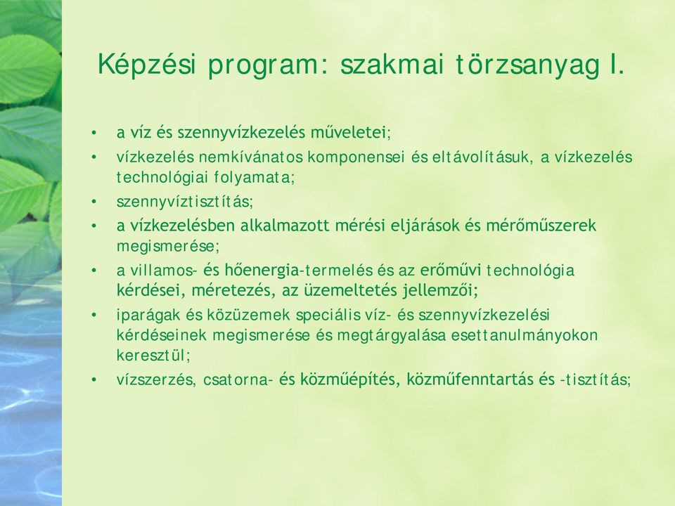 szennyvíztisztítás; a vízkezelésben alkalmazott mérési eljárások és mérőműszerek megismerése; a villamos- és hőenergia-termelés és az