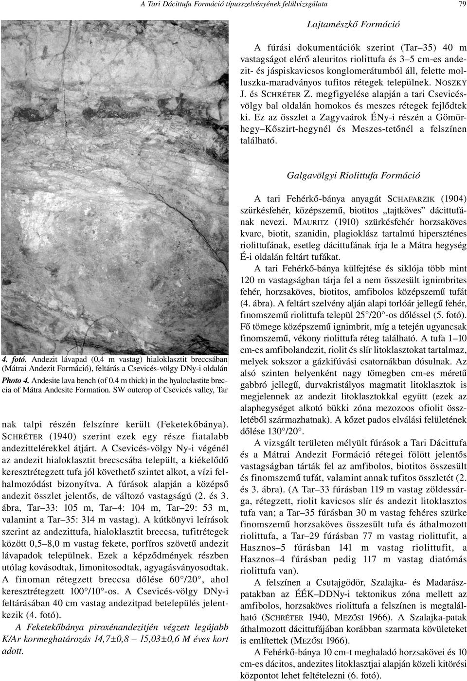 megfigyelése alapján a tari Csevicésvölgy bal oldalán homokos és meszes rétegek fejlődtek ki.