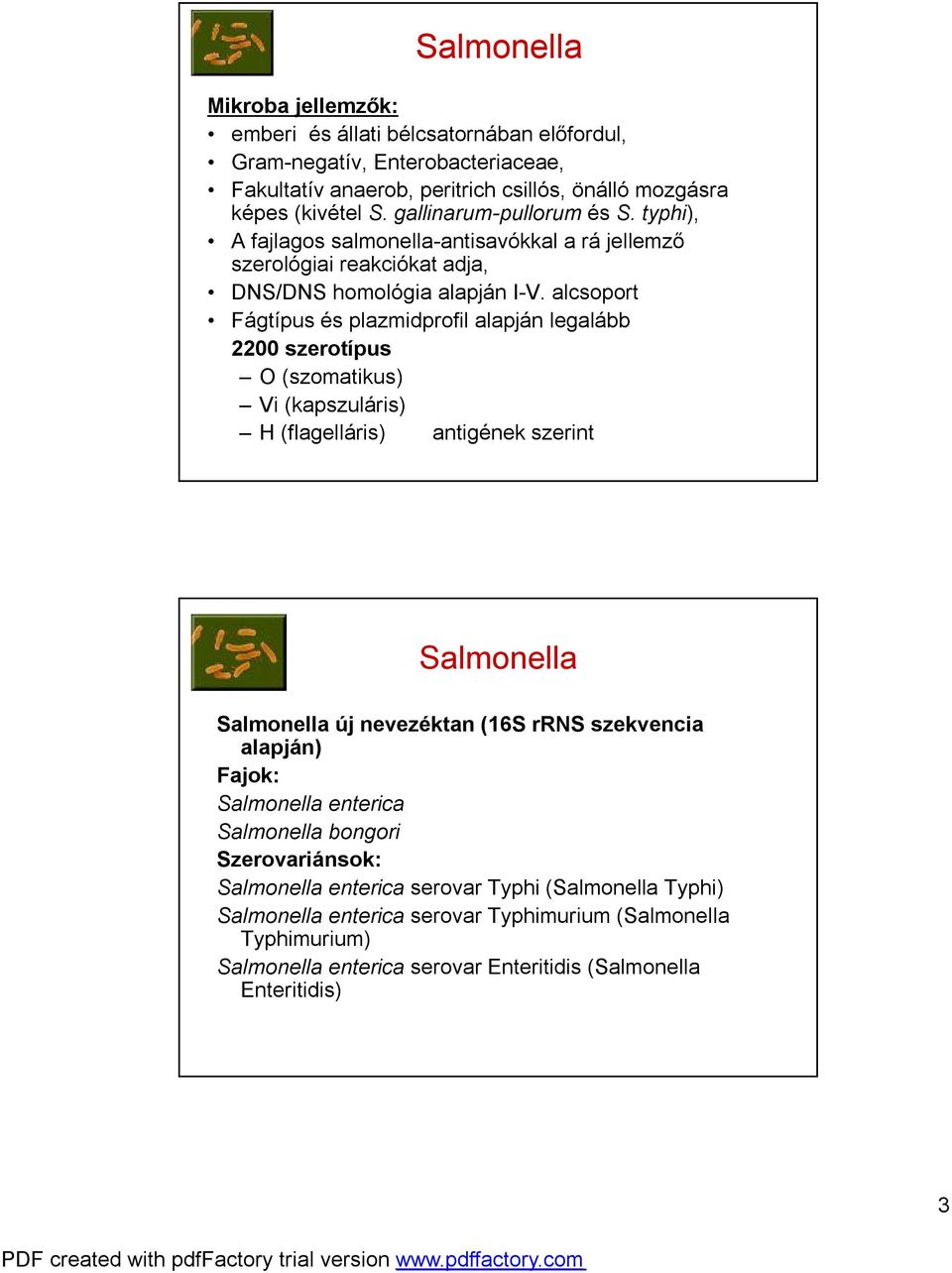 alcsoport Fágtípus és plazmidprofil alapján legalább 2200 szerotípus O (szomatikus) Vi (kapszuláris) H (flagelláris) antigének szerint Salmonella Salmonella új nevezéktan (16S rrns