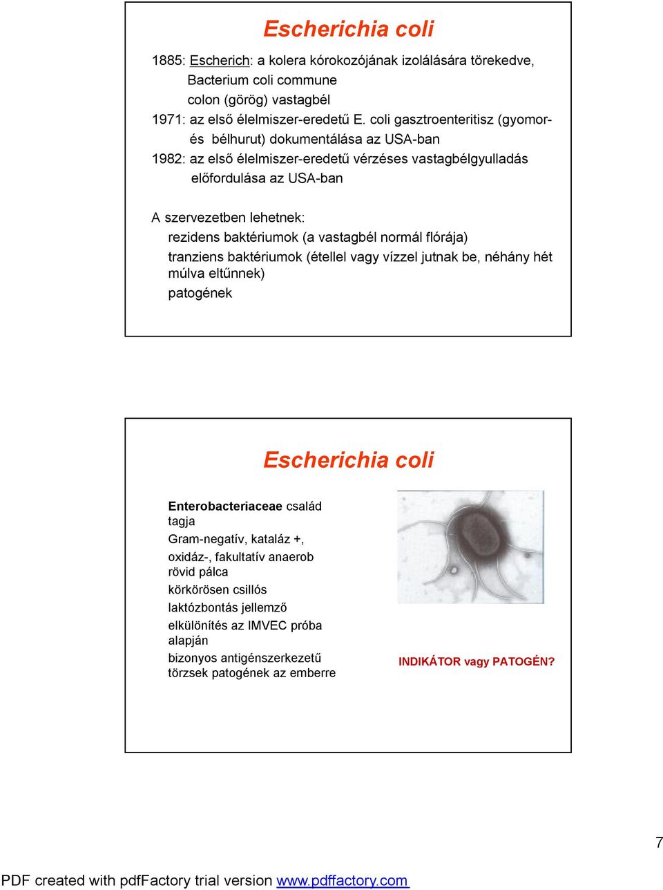 baktériumok (a vastagbél normál flórája) tranziens baktériumok (étellel vagy vízzel jutnak be, néhány hét múlva eltűnnek) patogének Escherichia coli Enterobacteriaceae család tagja