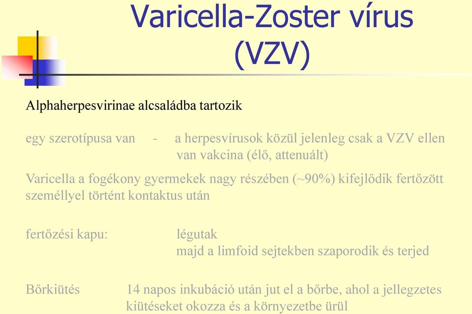 kifejlődik fertőzött személlyel történt kontaktus után fertőzési kapu: Bőrkiütés légutak majd a limfoid