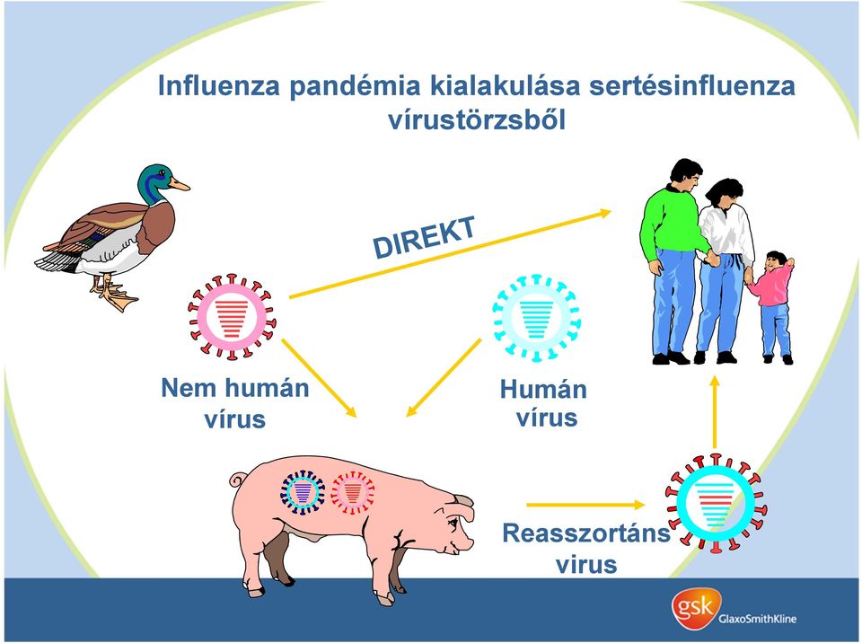 sertésinfluenza
