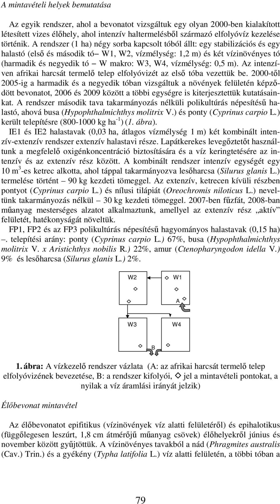 A rendszer (1 ha) négy sorba kapcsolt tóból állt: egy stabilizációs és egy halastó (első és második tó W1, W2, vízmélység: 1,2 m) és két vízinövényes tó (harmadik és negyedik tó W makro: W3, W4,