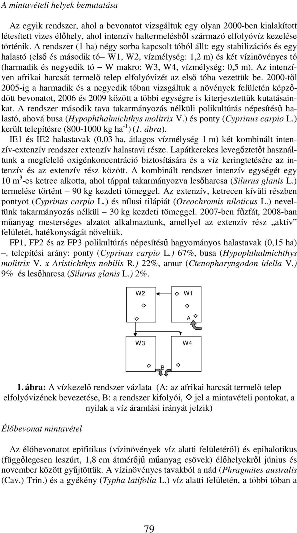 A rendszer (1 ha) négy sorba kapcsolt tóból állt: egy stabilizációs és egy halastó (első és második tó W1, W2, vízmélység: 1,2 m) és két vízinövényes tó (harmadik és negyedik tó W makro: W3, W4,