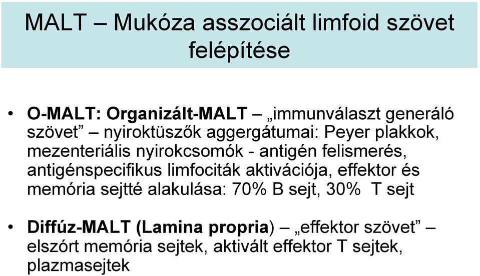 antigénspecifikus limfociták aktivációja, effektor és memória sejtté alakulása: 70% B sejt, 30% T