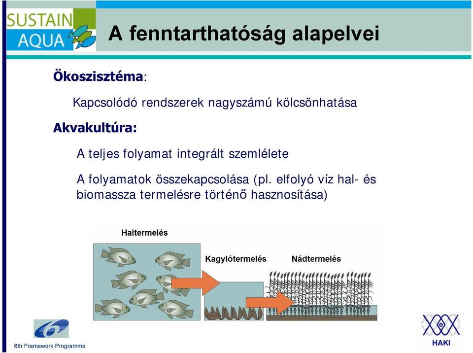 folyamat integrált szemlélete A folyamatok összekapcsolása