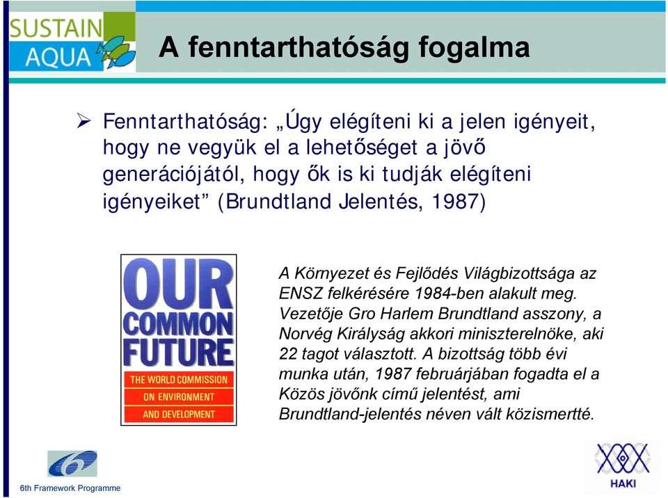 1984-ben alakult meg. Vezetője Gro Harlem Brundtland asszony, a Norvég Királyság akkori miniszterelnöke, aki 22 tagot választott.